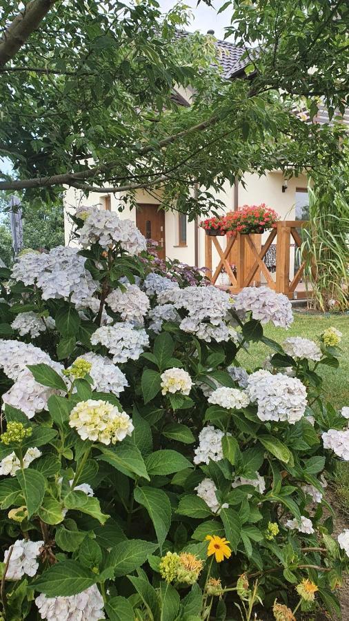 Apartamenty Na Baltyckiej Choczewo Dış mekan fotoğraf